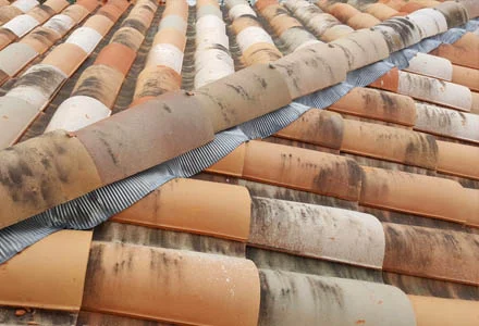 Différents éléments de tuiles sur une toiture